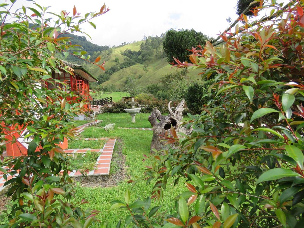 Ecohotel Pinohermoso Reserva Natural Salento Extérieur photo