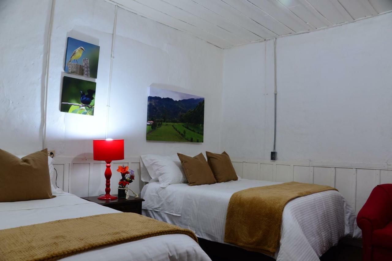 Ecohotel Pinohermoso Reserva Natural Salento Extérieur photo