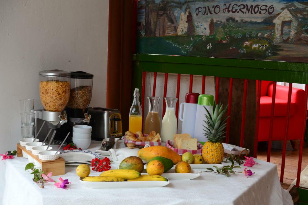 Ecohotel Pinohermoso Reserva Natural Salento Extérieur photo