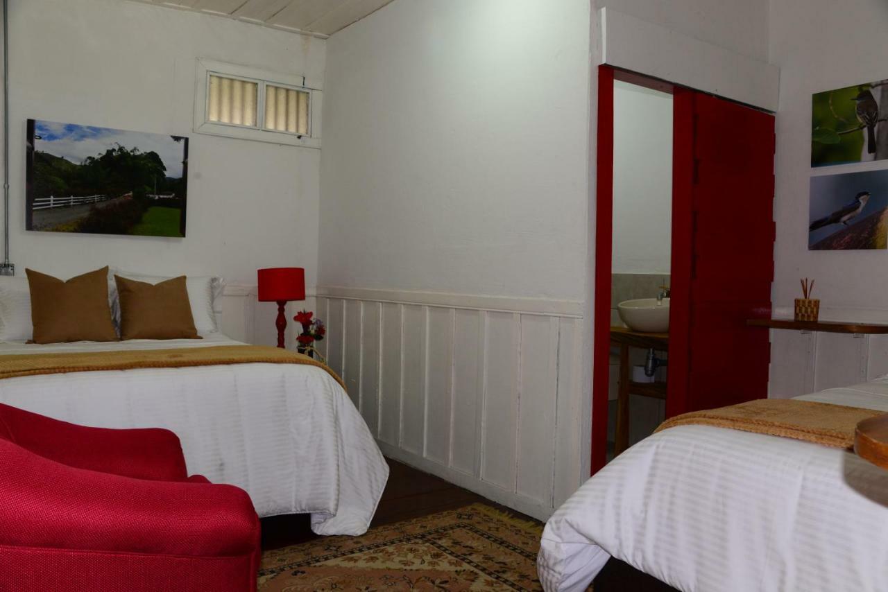 Ecohotel Pinohermoso Reserva Natural Salento Extérieur photo